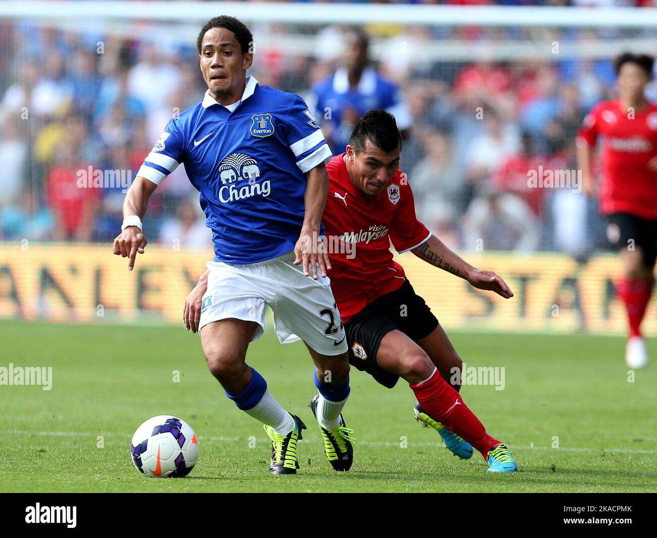 31st August 2013- Barclays Premiership - Cardiff City Vs Everton - Steven Pienaar of Everton tries to escape from Gary Medel of Cardiff City - Photo: Paul Roberts/Pathos. Stock Photo