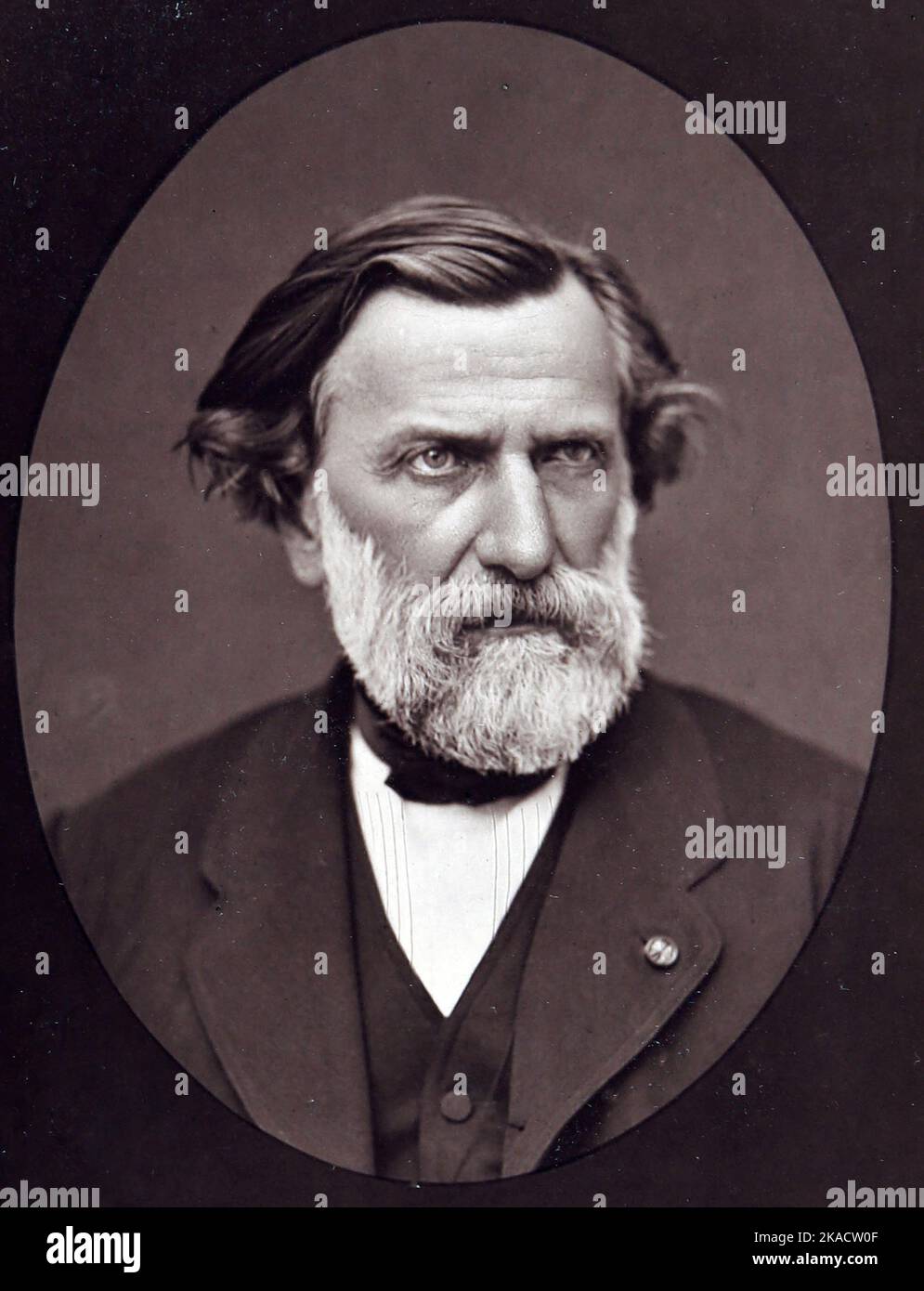 Portrait of Ambroise Thomas (1811-1896) - circa 1874 - Photoglyptie Lemercier Stock Photo