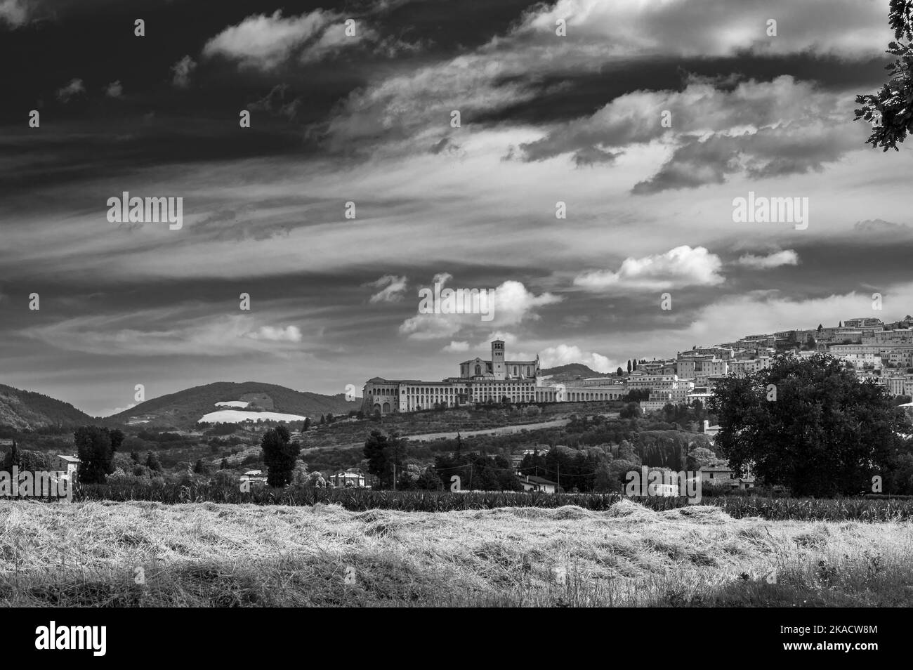 Cultivated fields and flowers on the slopes of Monte Subasio. Assisi Stock Photo