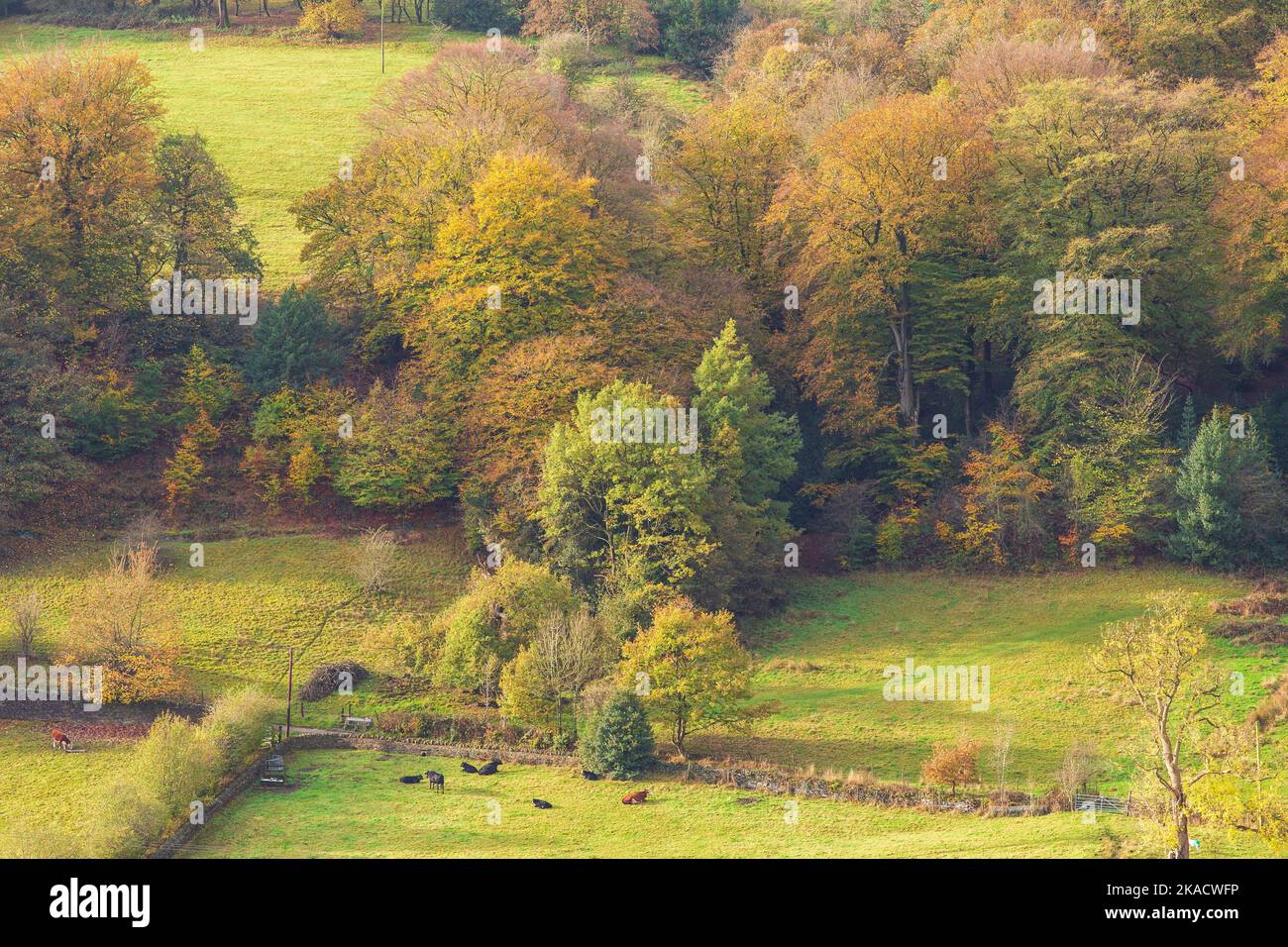 Shibden valley, Halifax, West Yorkshire, UK 2nd Nov, 2022 UK Weather