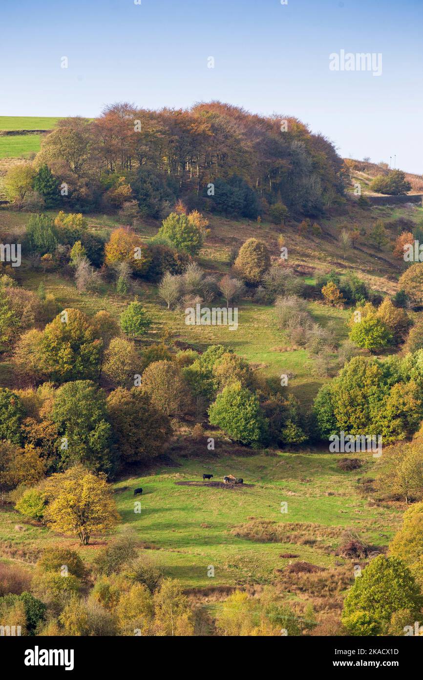 Shibden valley, Halifax, West Yorkshire, UK 2nd Nov, 2022 UK Weather