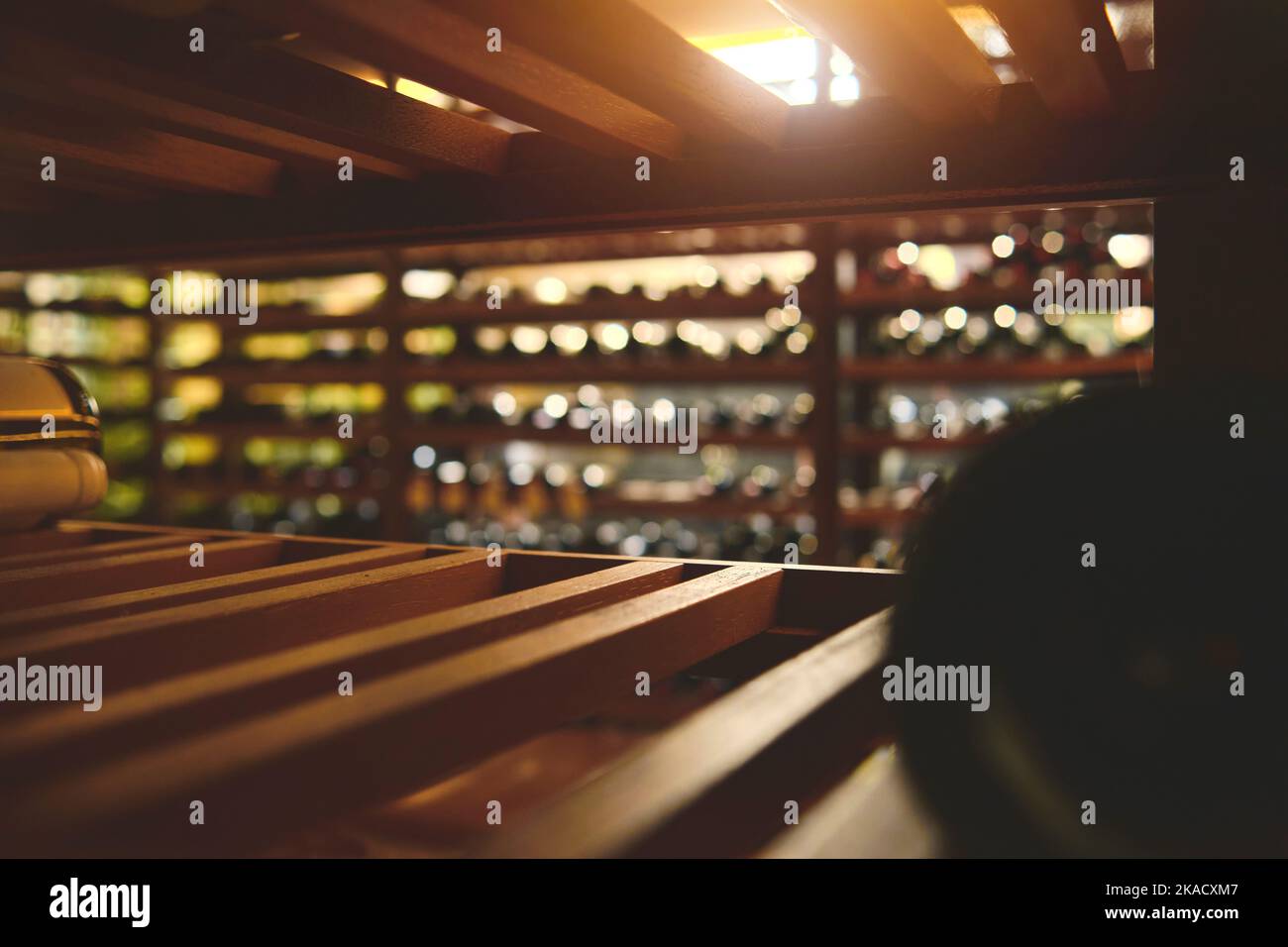 Storing bottles of wine in fridge. Cooling and preserving wine. Selective Focus Stock Photo Alamy