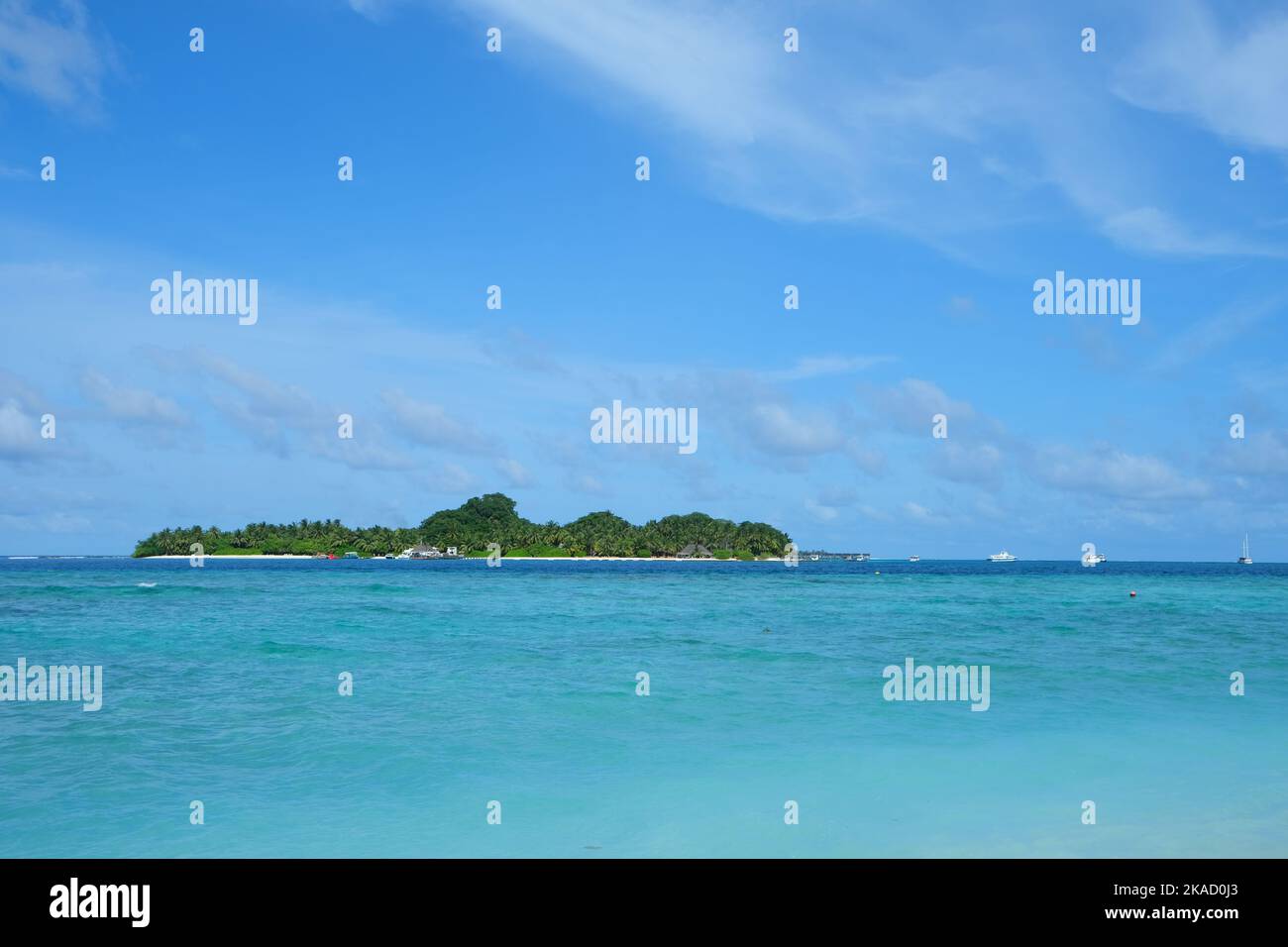Rasdhoo is famous for its habitats of black and white tip reef sharks. It is a small island in Northern Ari Atoll with beautiful beaches. Stock Photo