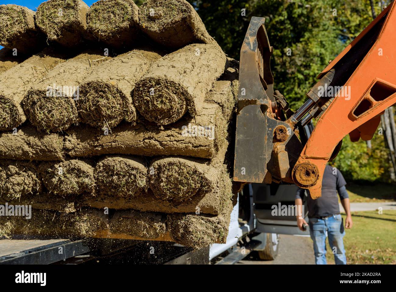 Forklift boom truck unloading green grass turf rolls on pallets for landscaping in construction
