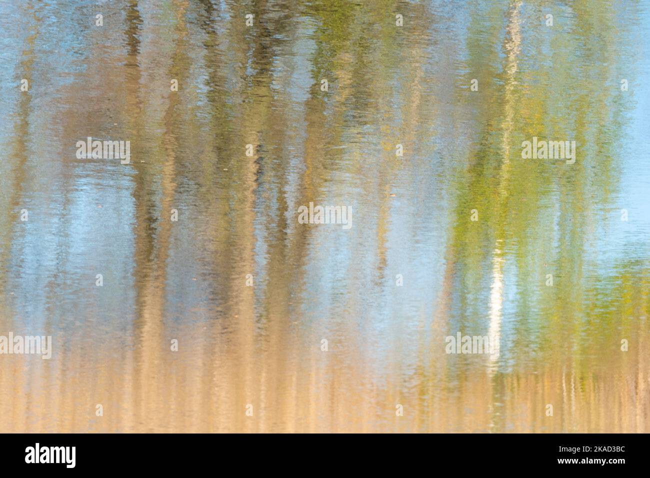 Trees of different colors of autumn reflected in the water. Photo ...