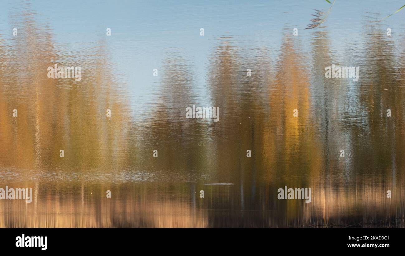 Trees of different colors of autumn reflected in the water. Photo ...