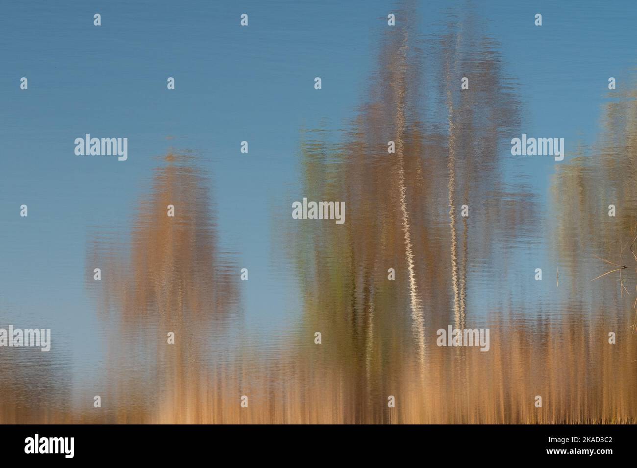 Trees of different colors of autumn reflected in the water. Photo ...