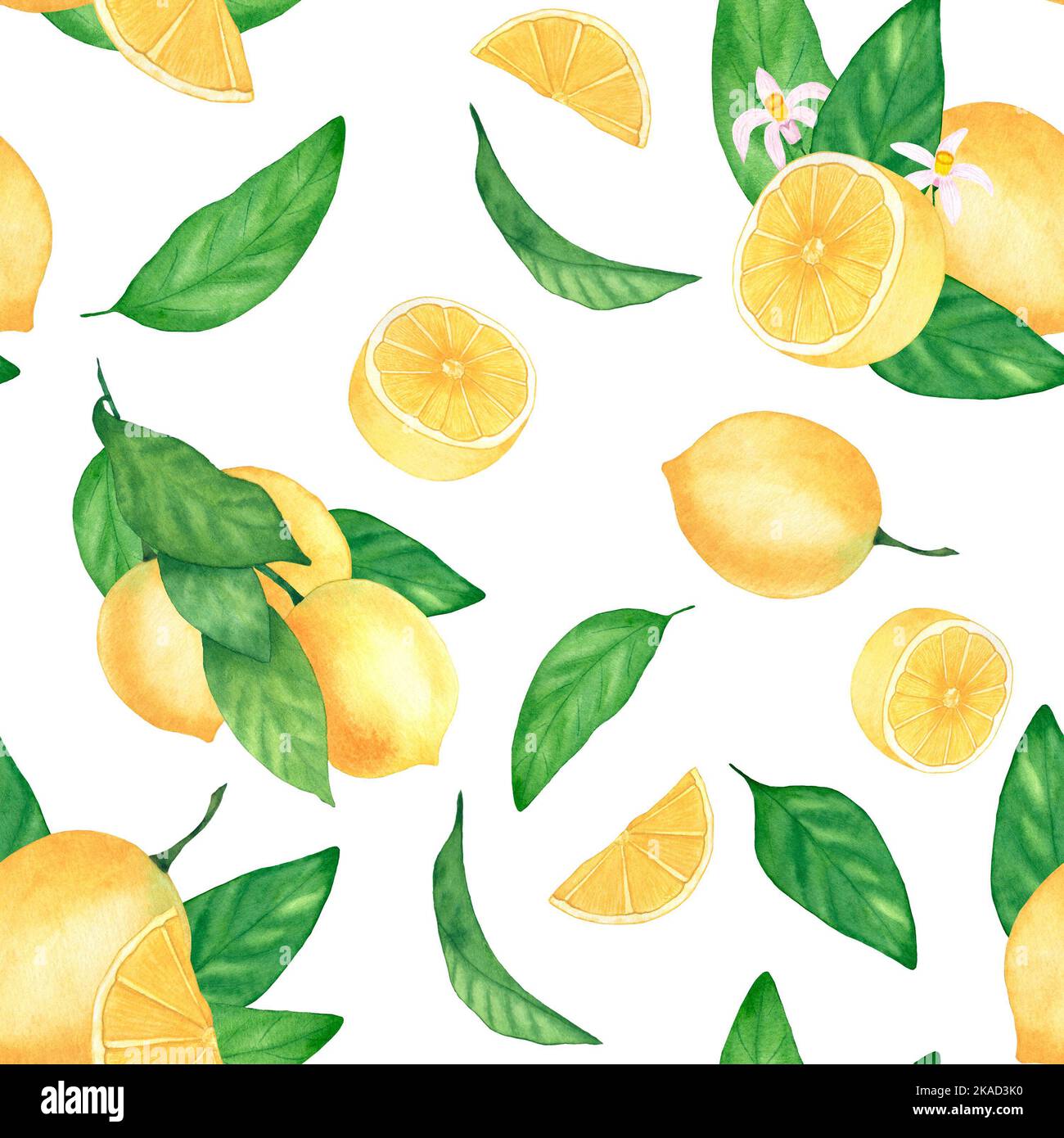 Watercolor seamless pattern with lemons. Botanical illustration. An ...