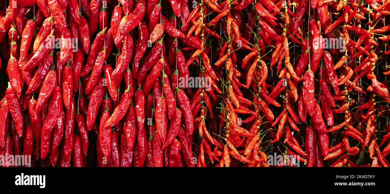 red chili peppers hanging in spice market. banner Stock Photo