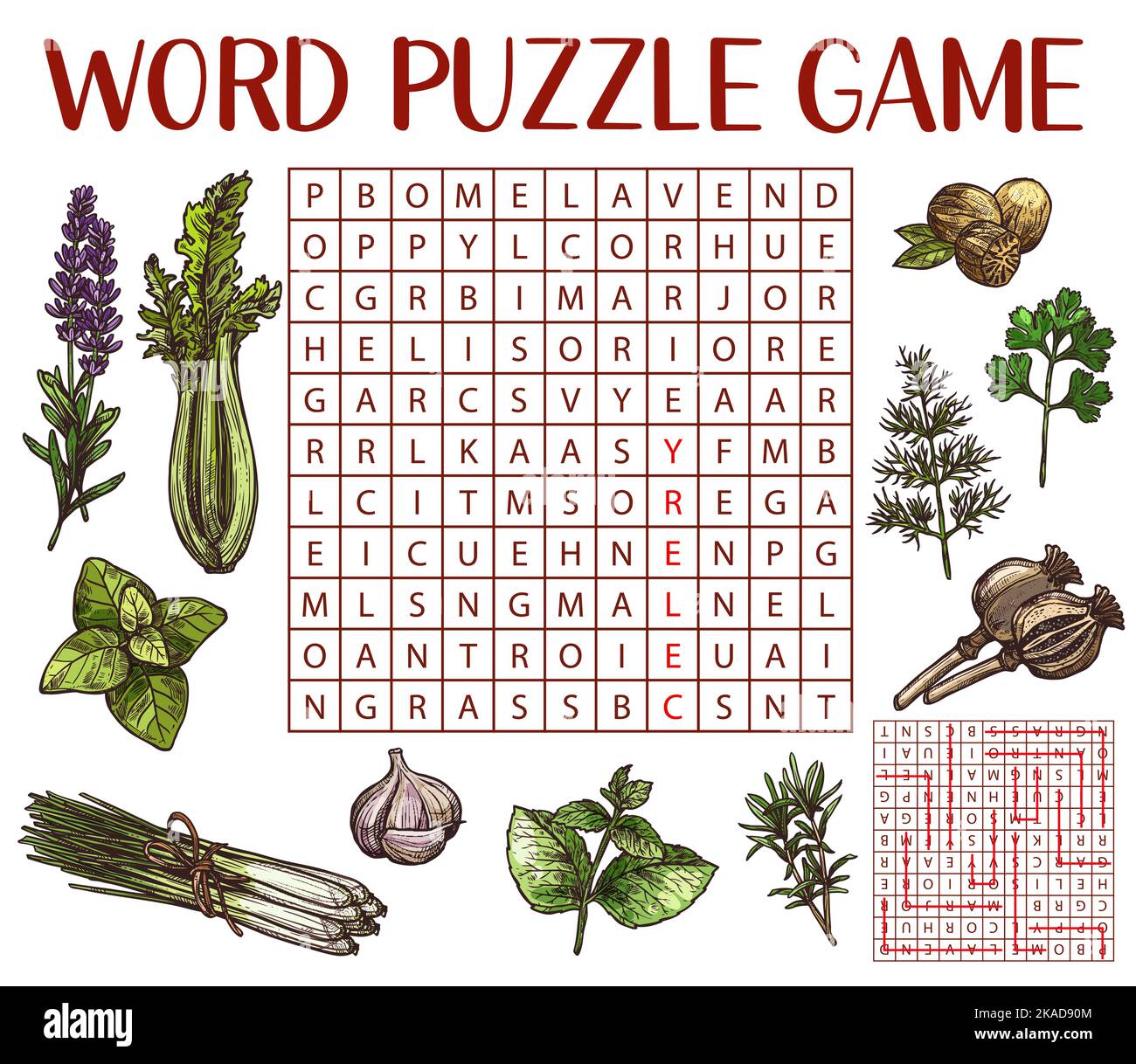Spices, herbs and seasonings sketch, word search puzzle game worksheet, vector quiz grid. Kids