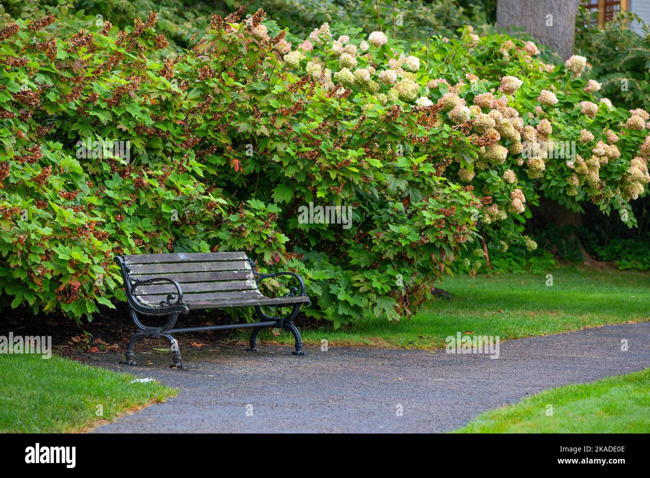 An empty bench sites besides a foot path at Brewster Gardens a public park across from the waterfront in Plymouth Massachusetts. Stock Photo