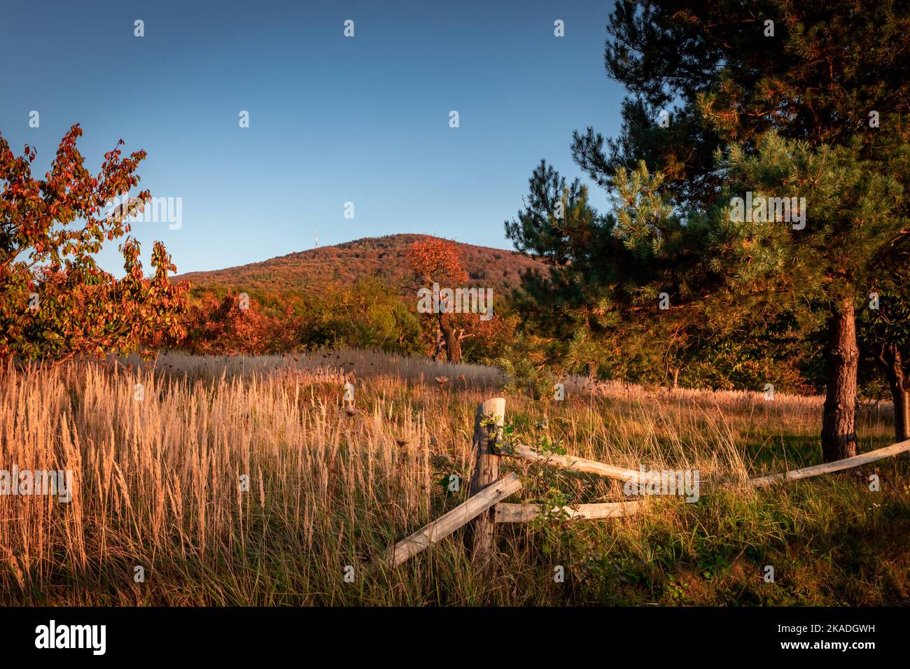 Autumnal sunset landscape with Sleza Mountain, Poland. Old broken wooden fence in foreground. Stock Photo