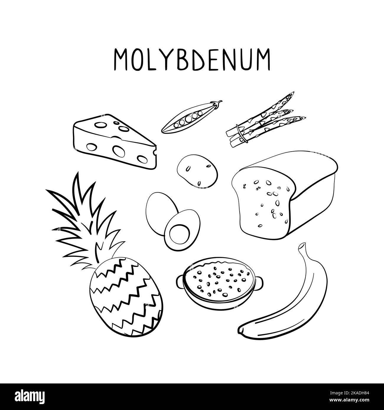 Major Food Sources Of Molybdenum at Ellie Redmond blog