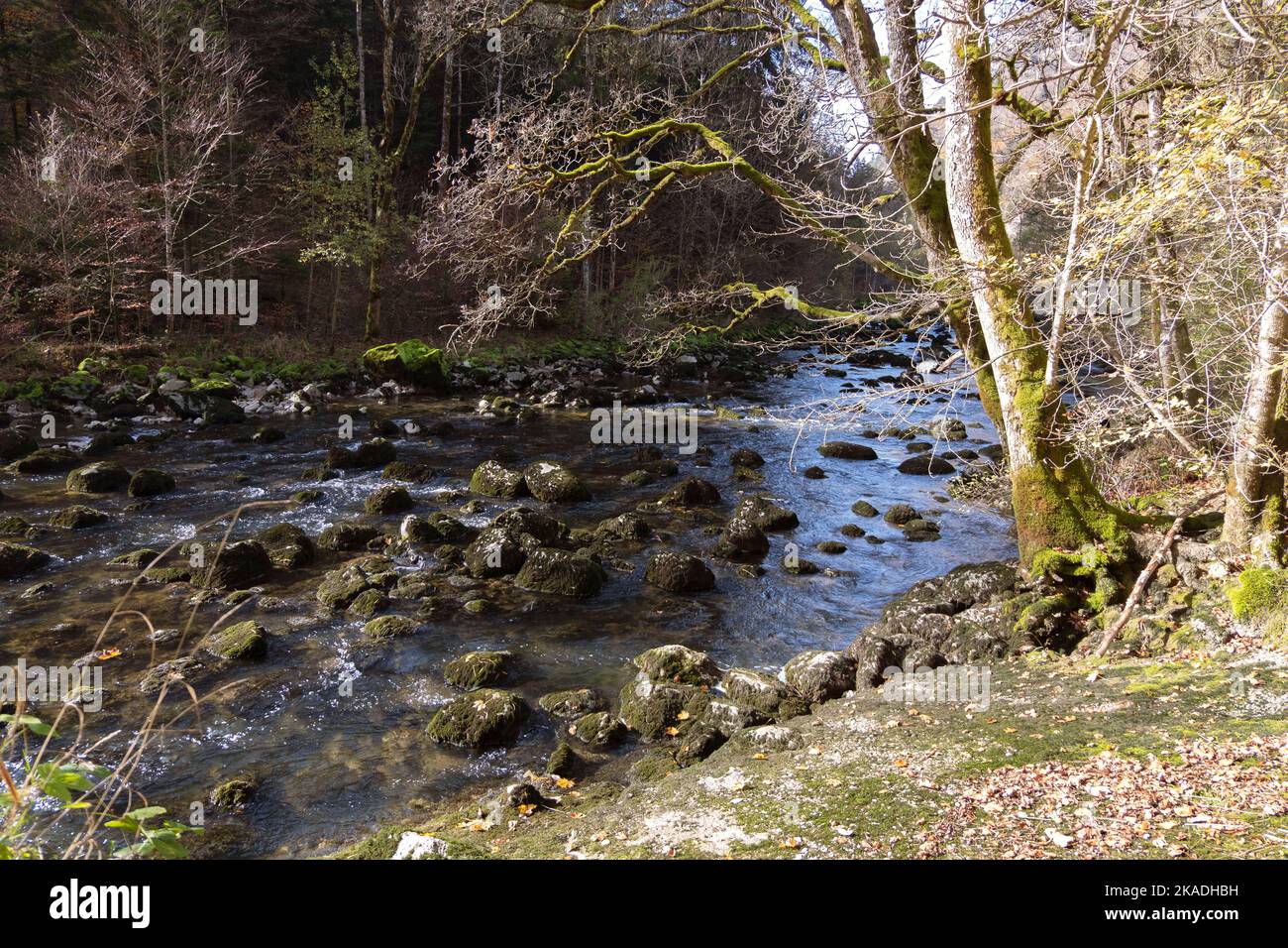 Gorges de l'Areuse, Noirague, Neuchatel, Switzerland, Europe. Beautiful romantic autumn landscape by the stream. River with mossy boulders, autumnal n Stock Photo
