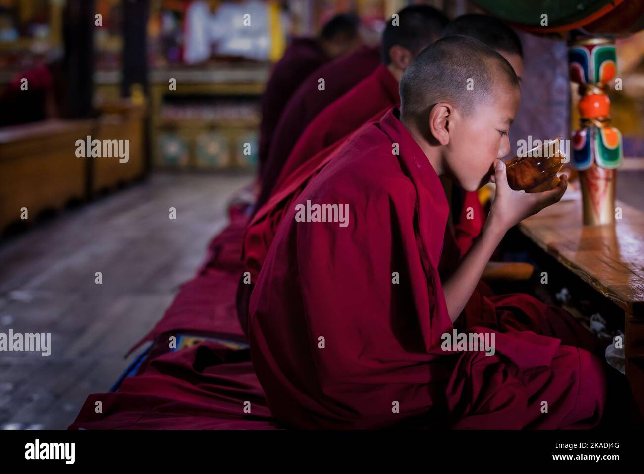 A young monk drinking tea during morning puja, Thikse Monastery (Thiksay Gompa), Ladakh, India Stock Photo