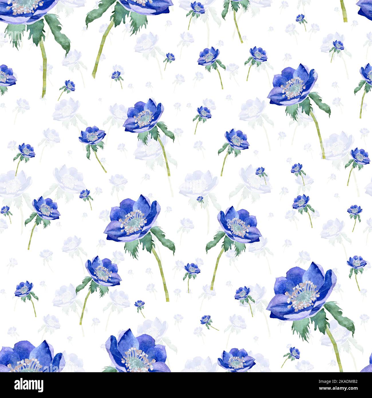 Violet anemone ornate a seamless pattern isolated Stock Photo - Alamy