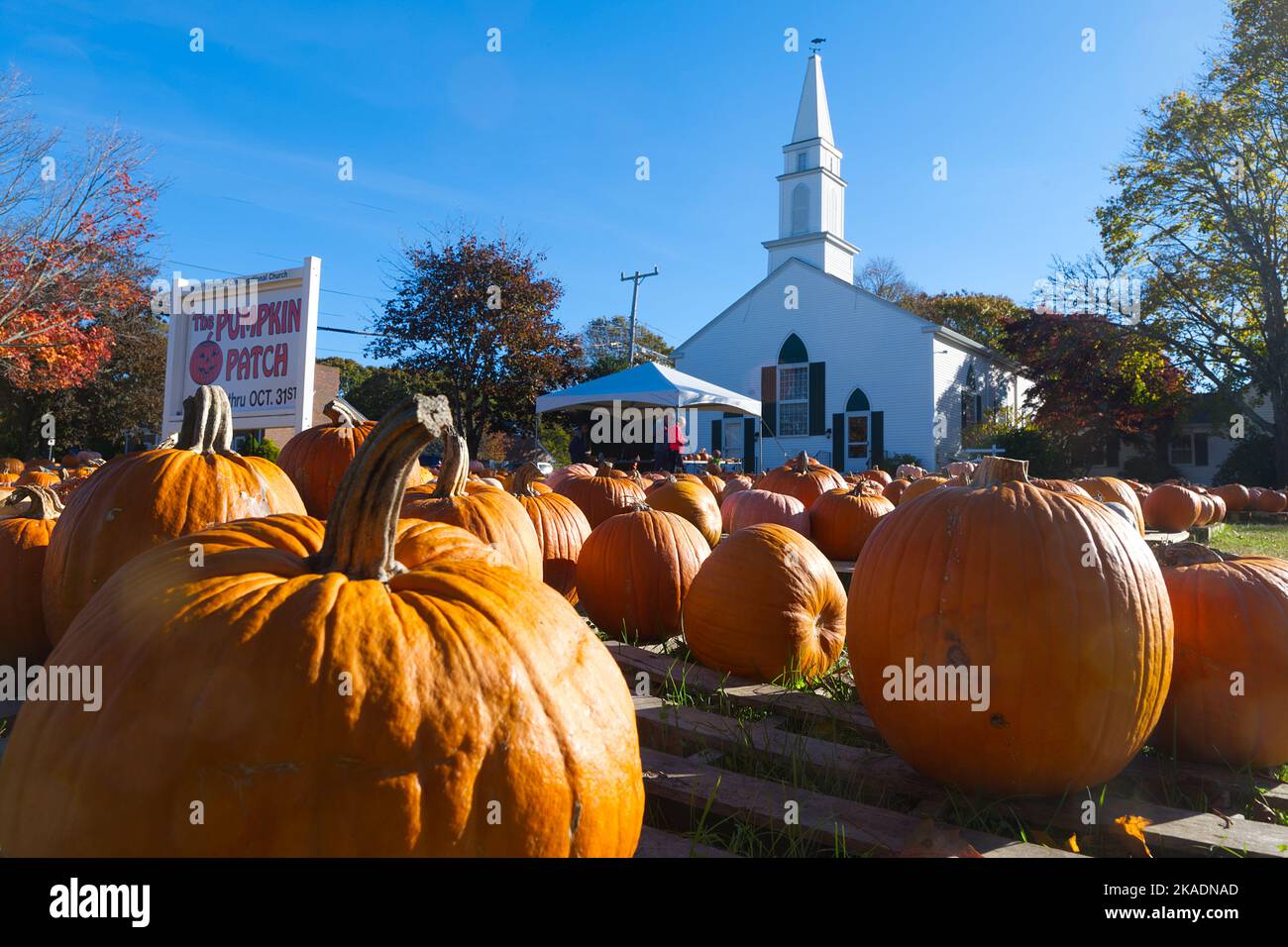 The Pumkin Patch - Pumpkin sales fundraiser at the West Yarmouth Congregational Church.  Yarmouth, Massachusetts, USA on Cape Cod Stock Photo