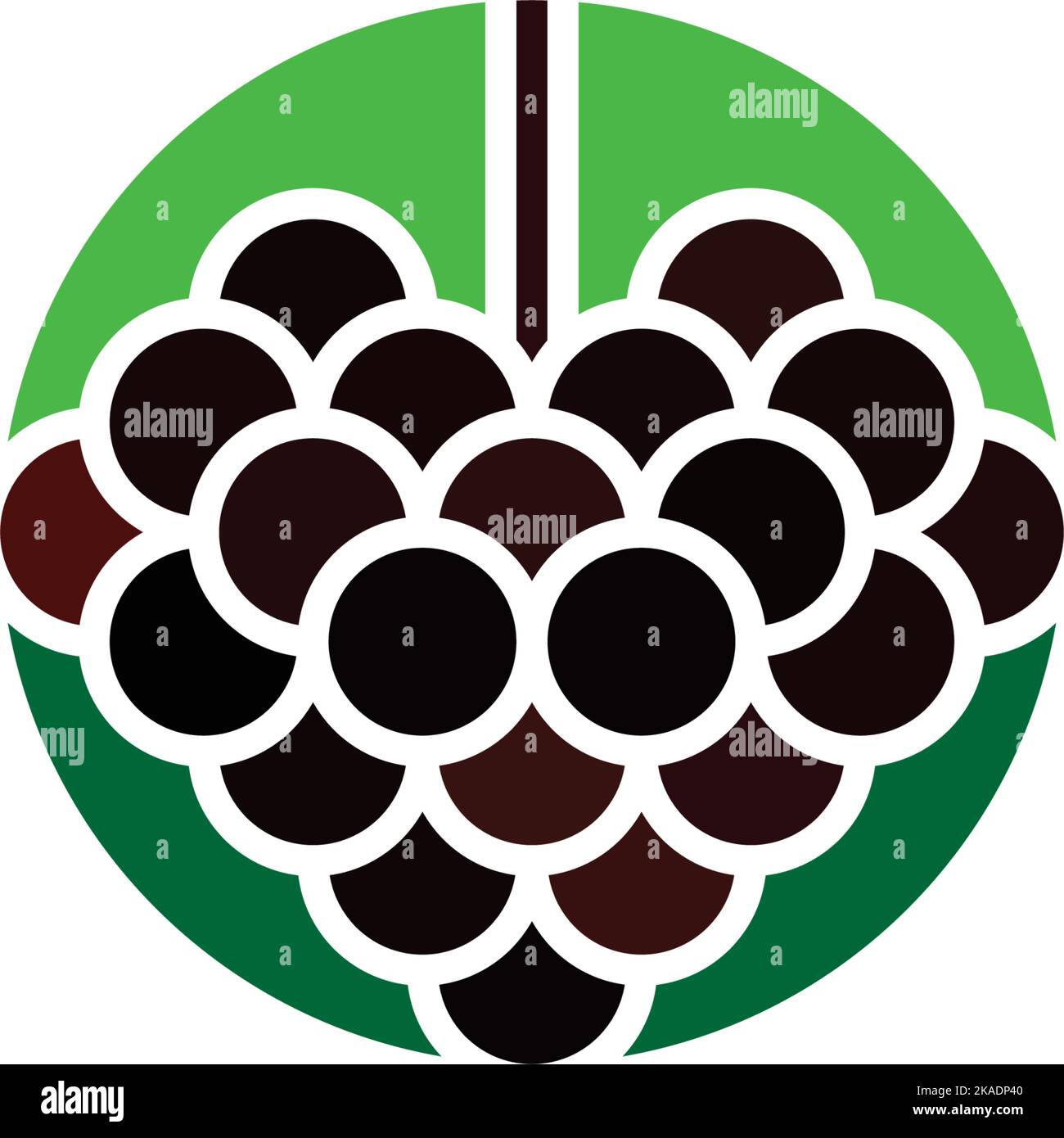 blackberry fruit logo icon vector symbol design Stock Vector