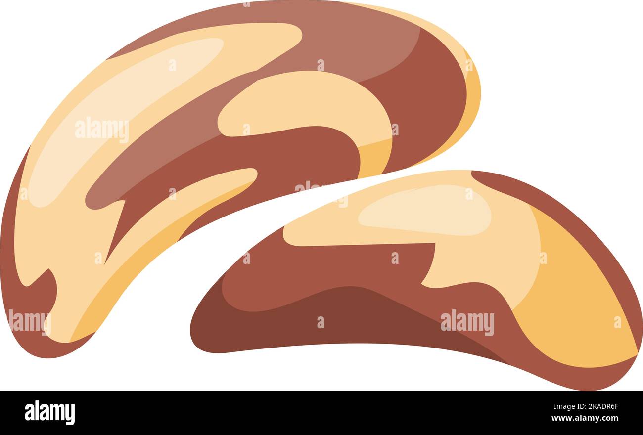 Brazil nut icon. Cartoon raw healthy seed Stock Vector Image & Art Alamy