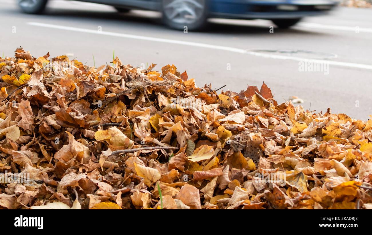 Heap of dry fallen autumn leaves on blurred road background with car in motion blur Stock Photo