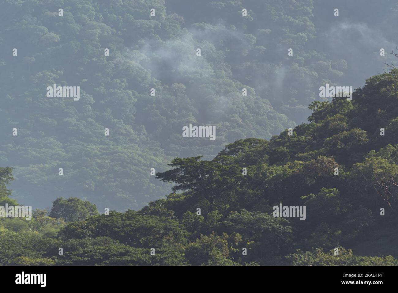 Lush green tropical mountains hi-res stock photography and images - Alamy