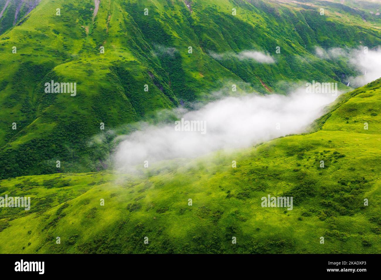 Misty; foggy; aerial view of remote Kodiak Island; de Havilland; Beaver; float plane; Alaska; USA Stock Photo