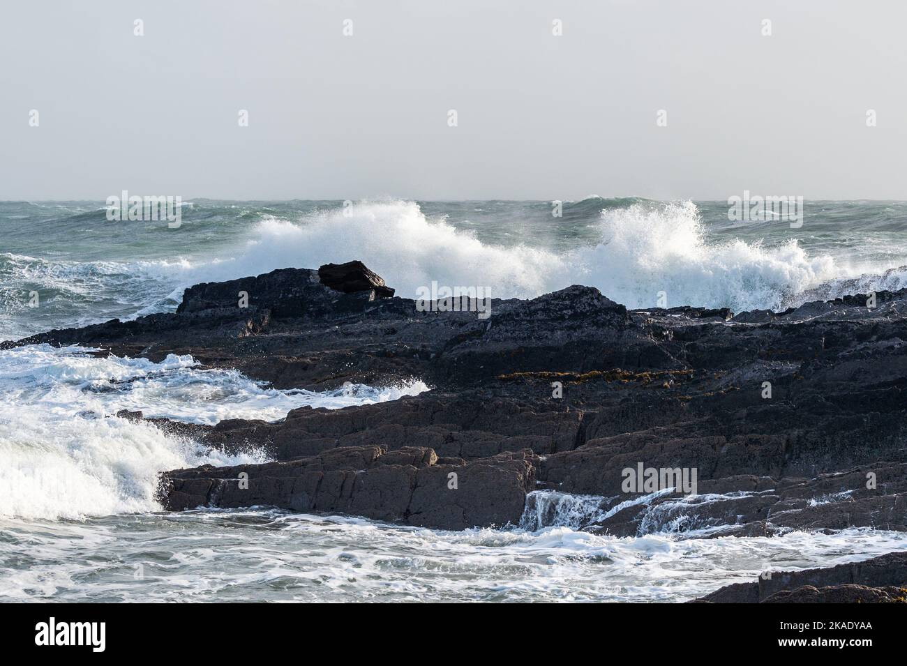 Rosscarbery, West Cork, Ireland. 2nd Nov, 2022. Massive waves hit the rocks at Rosscarbery Pier today as the island of Ireland is currenty under a Met Éireann Yellow Wind and Rain Warning, which is to last until 9pm tonight. Credit: AG News/Alamy Live News Stock Photo