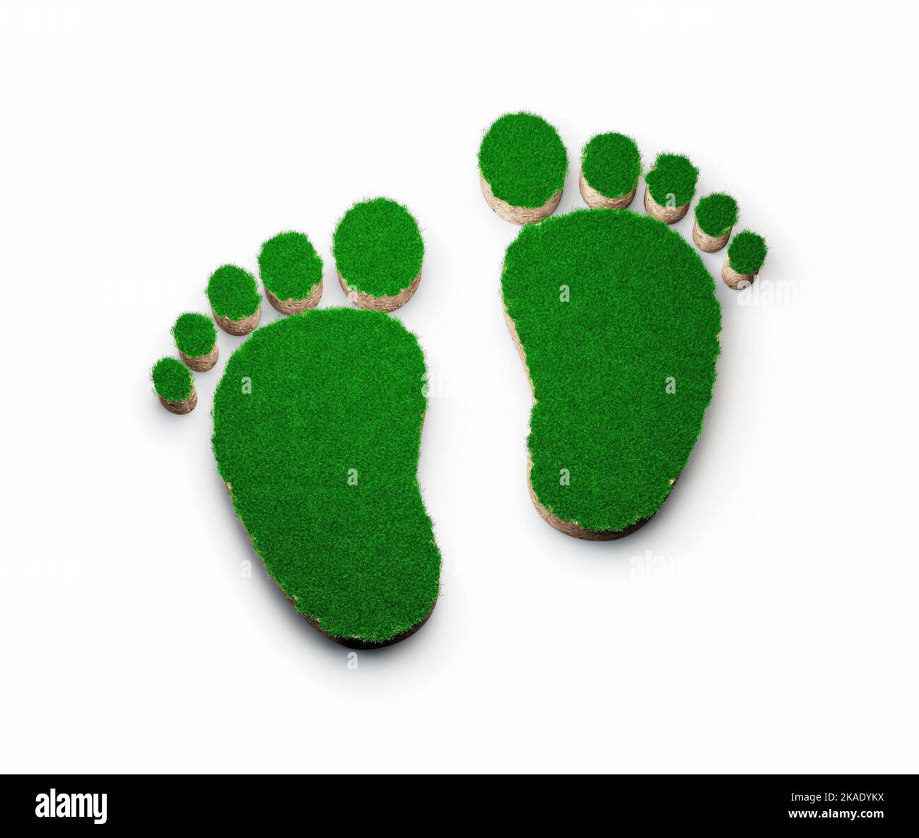 A Footprint shape made of green grass and Rock ground texture cross-section with 3d illustration Stock Photo
