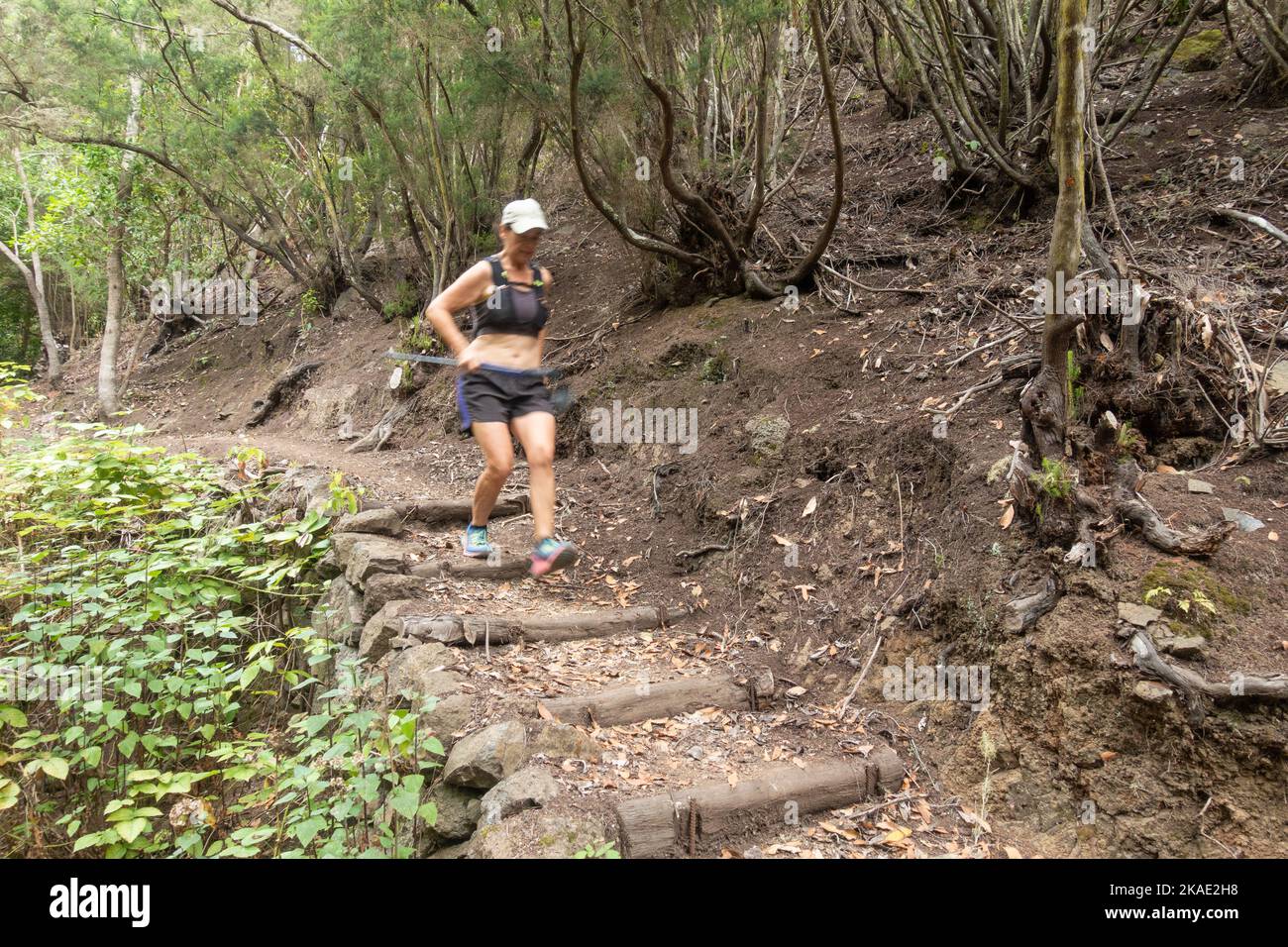 Mature woman trail runner, running in forest. Stock Photo