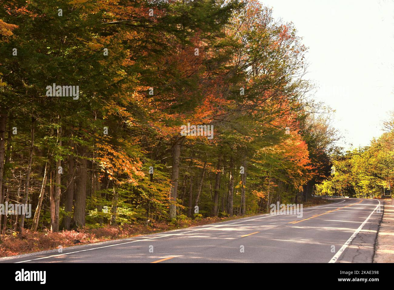 Fall Colours on the Kankamagus Highway, New England, New Hampshire, USA Stock Photo
