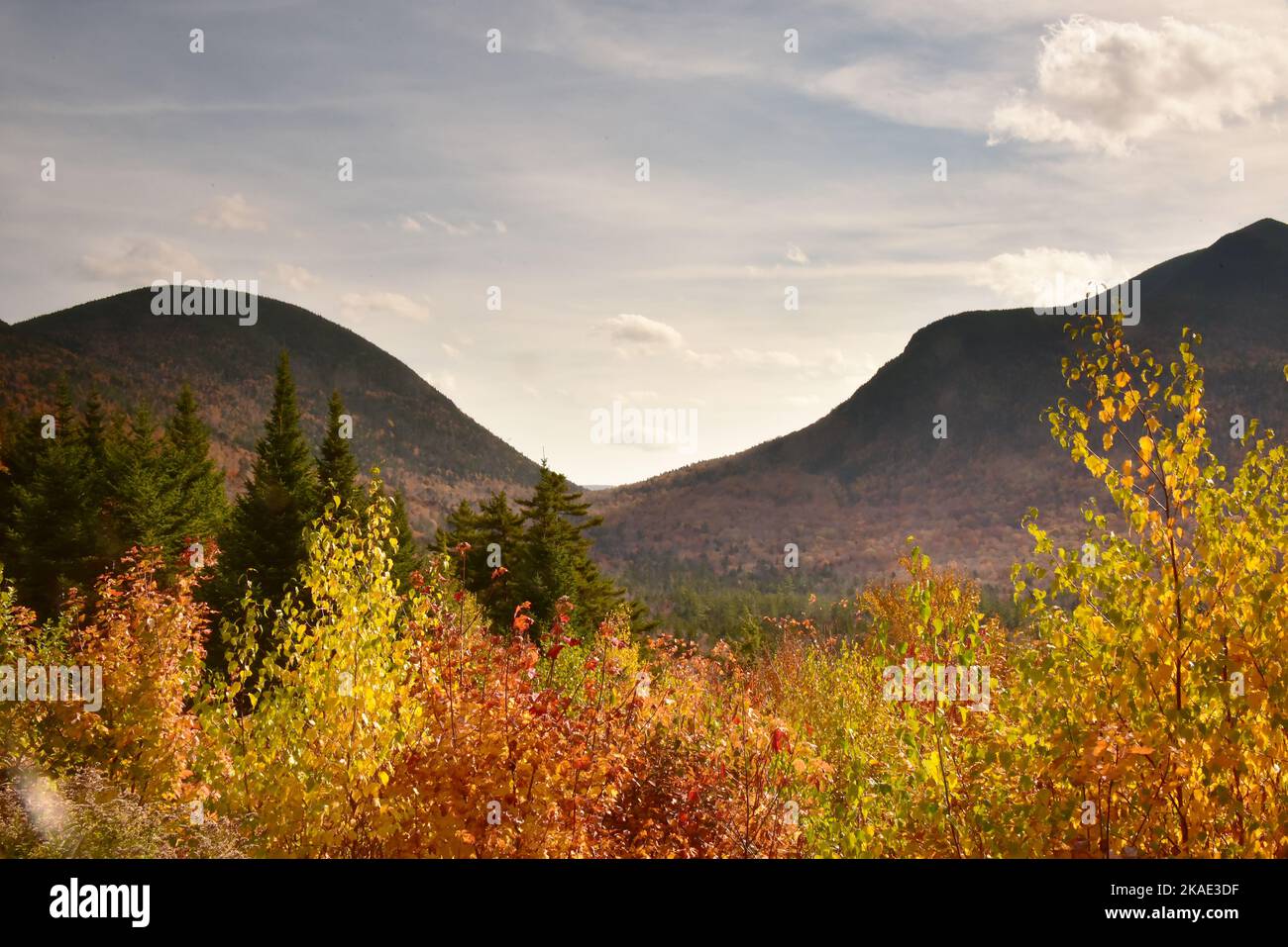 Fall Colour in the White Mountains, New Hampshire, New England, USA Stock Photo