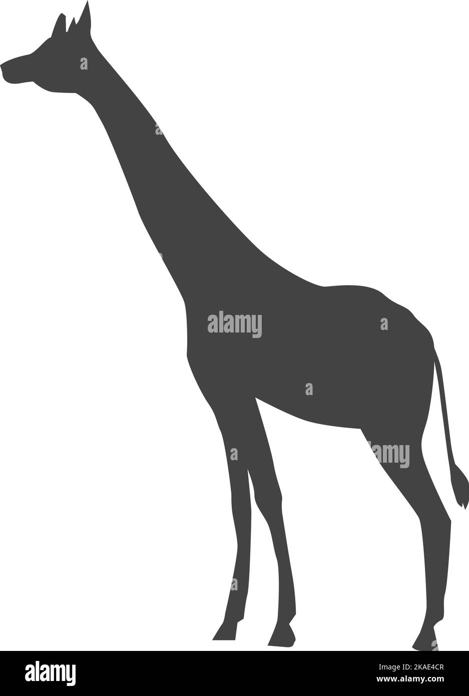 Giraffe black silhouette. Safari animal symbol. Zoo icon Stock Vector