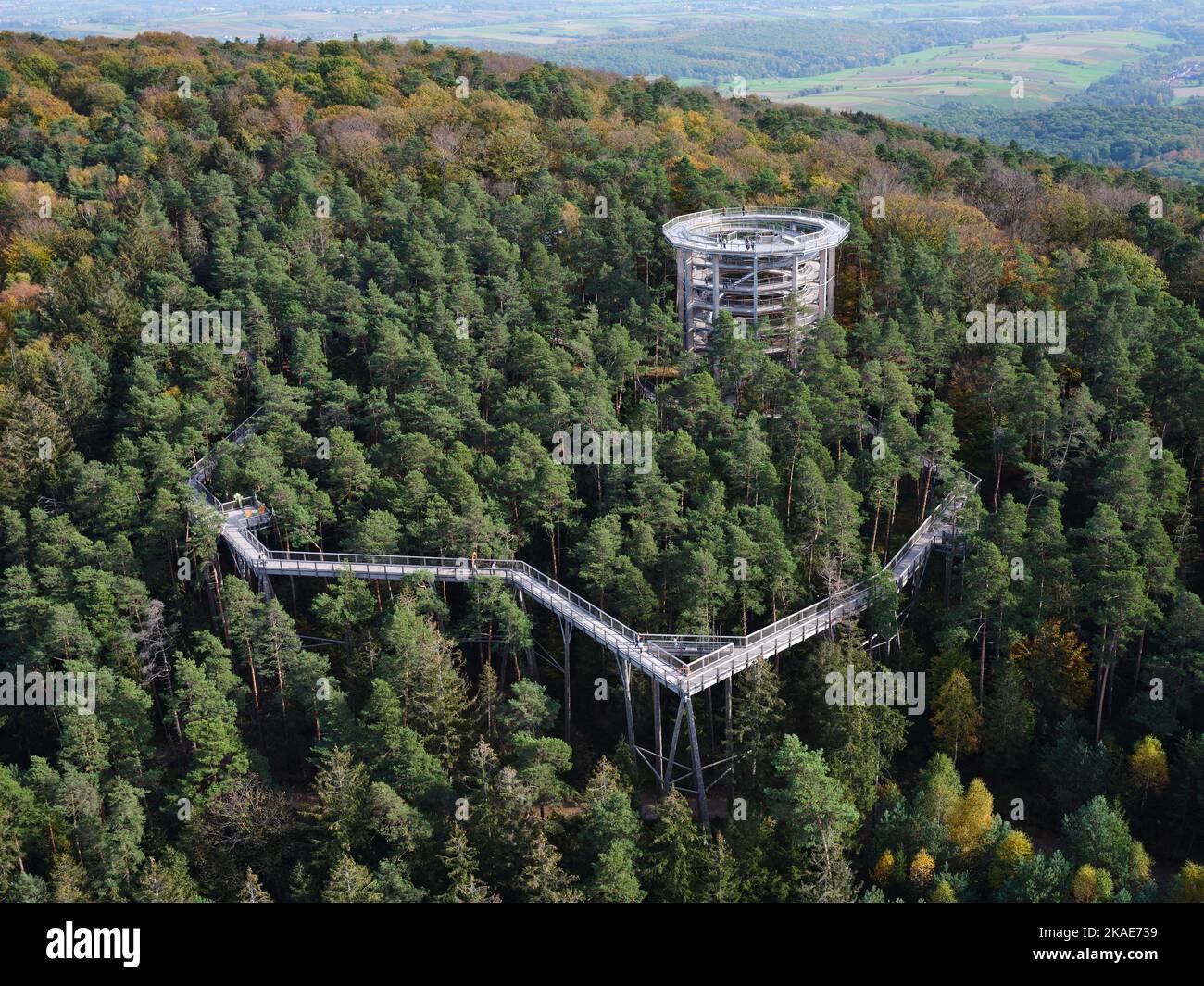 AERIAL VIEW. Tourist attraction where people walk on a footpath at treetop level and end at an observation deck. Chemin des Cimes, Alsace, France. Stock Photo