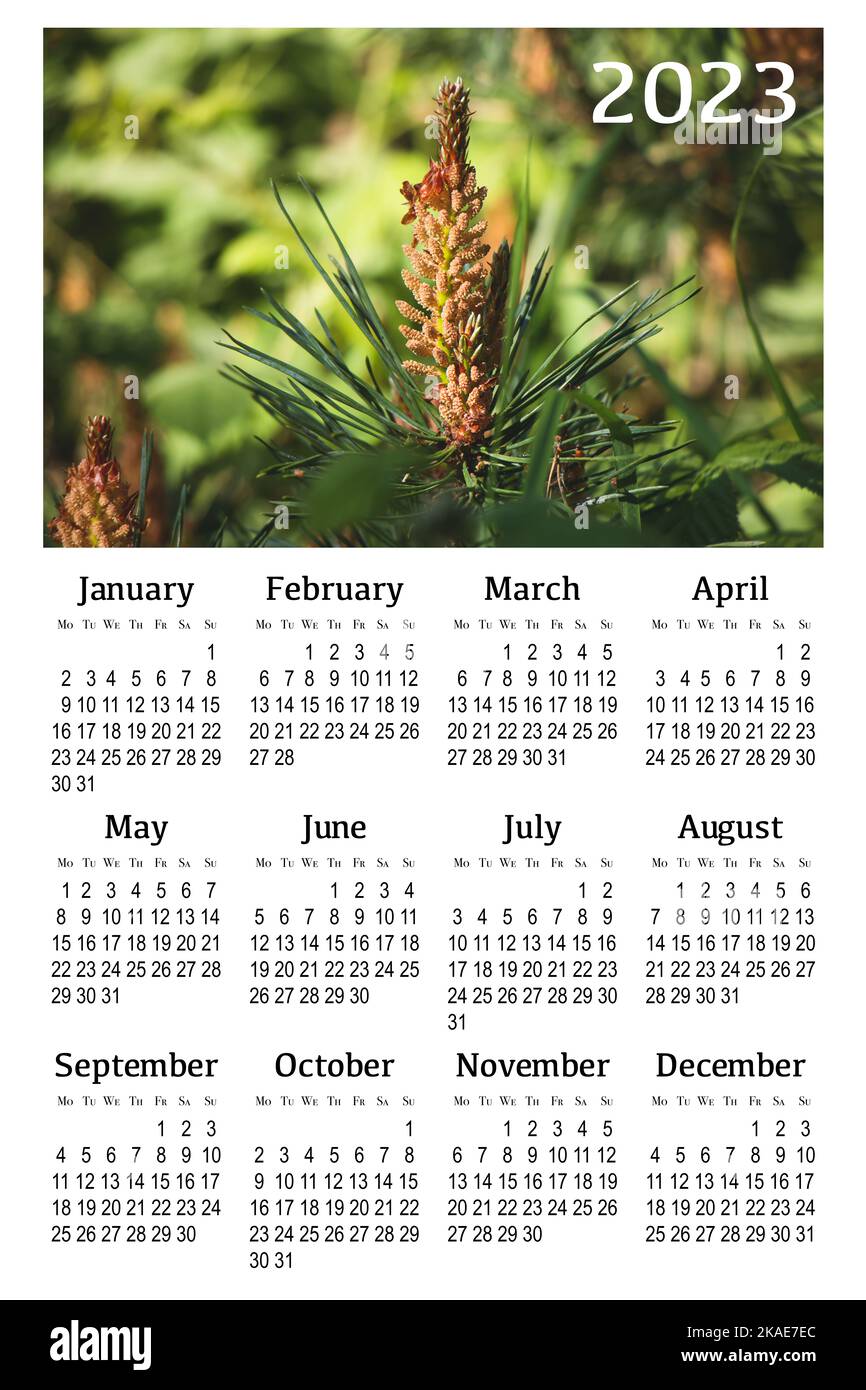 Wall Calendar With Moveable Date Marker Images – Browse 8 Stock Photos,  Vectors, and Video