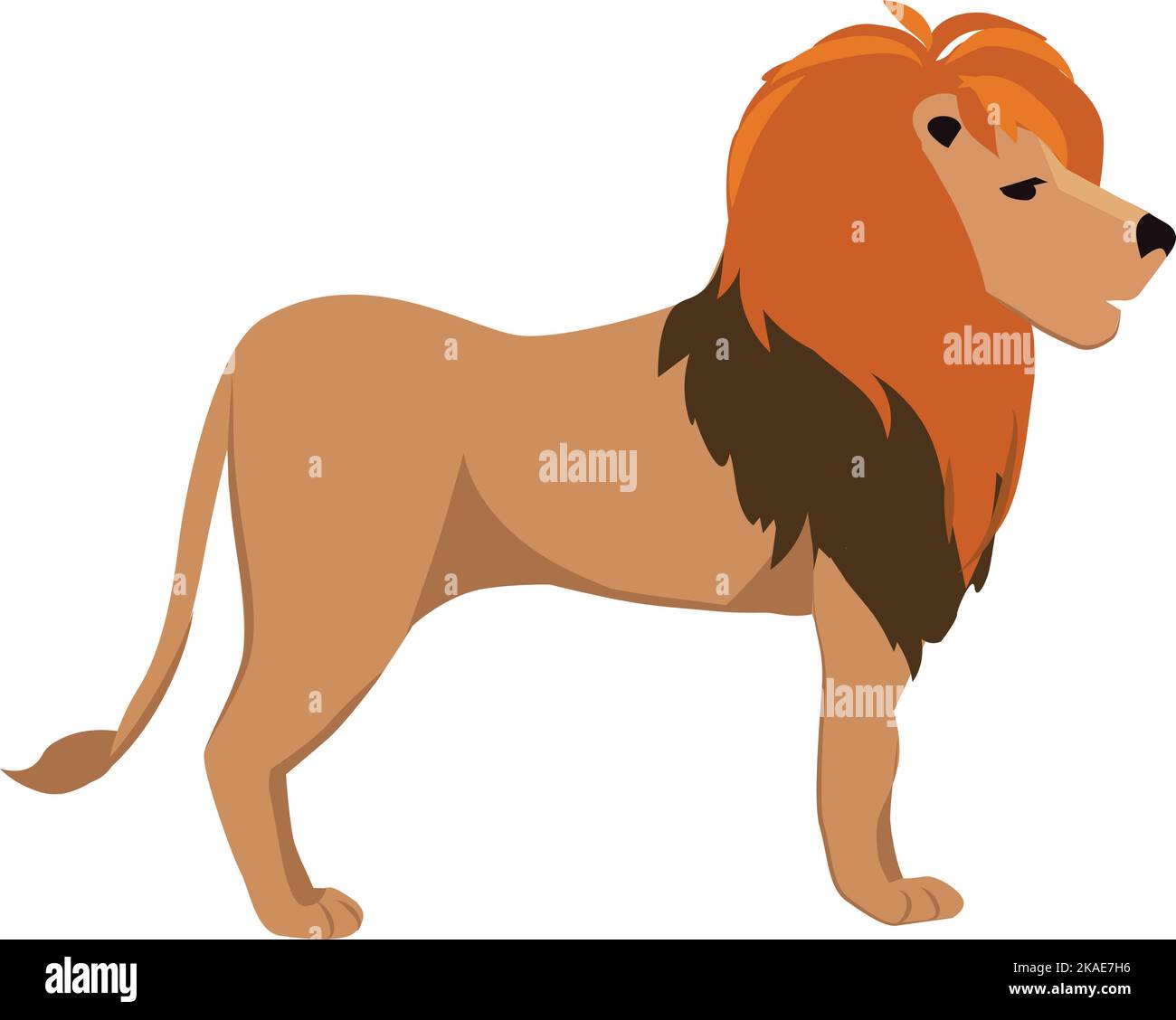 Lion icon. Safari animal. African wild fauna Stock Vector Image & Art