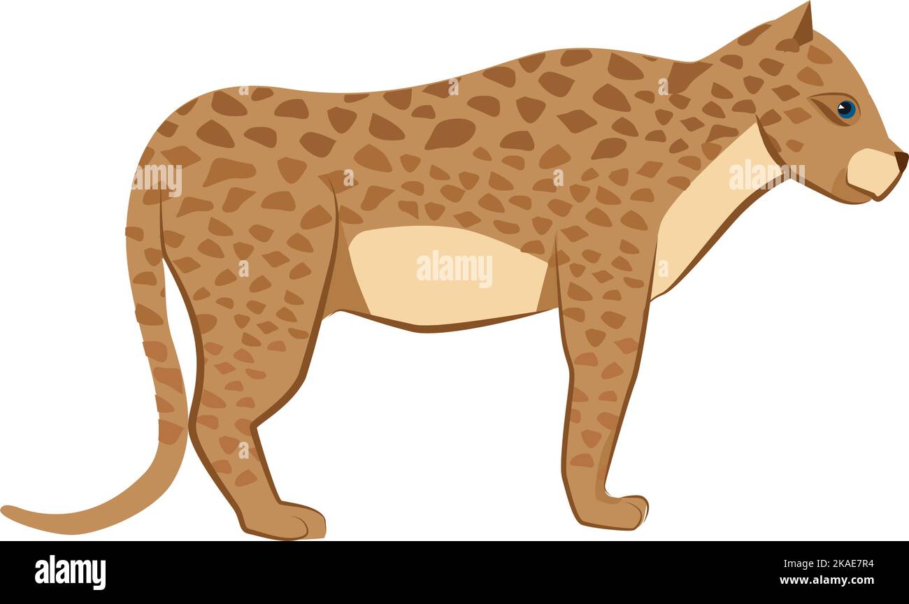 Leopard icon. Wild cat animal. Jungle predator Stock Vector Image & Art ...