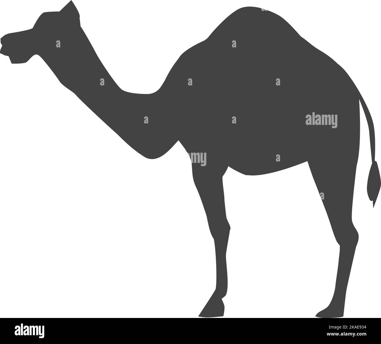 Camel Silhouette Black Desert Animal Icon Caravan Symbol Stock Vector camel-silhouette-black-desert-animal-icon-caravan-symbol-stock-vector