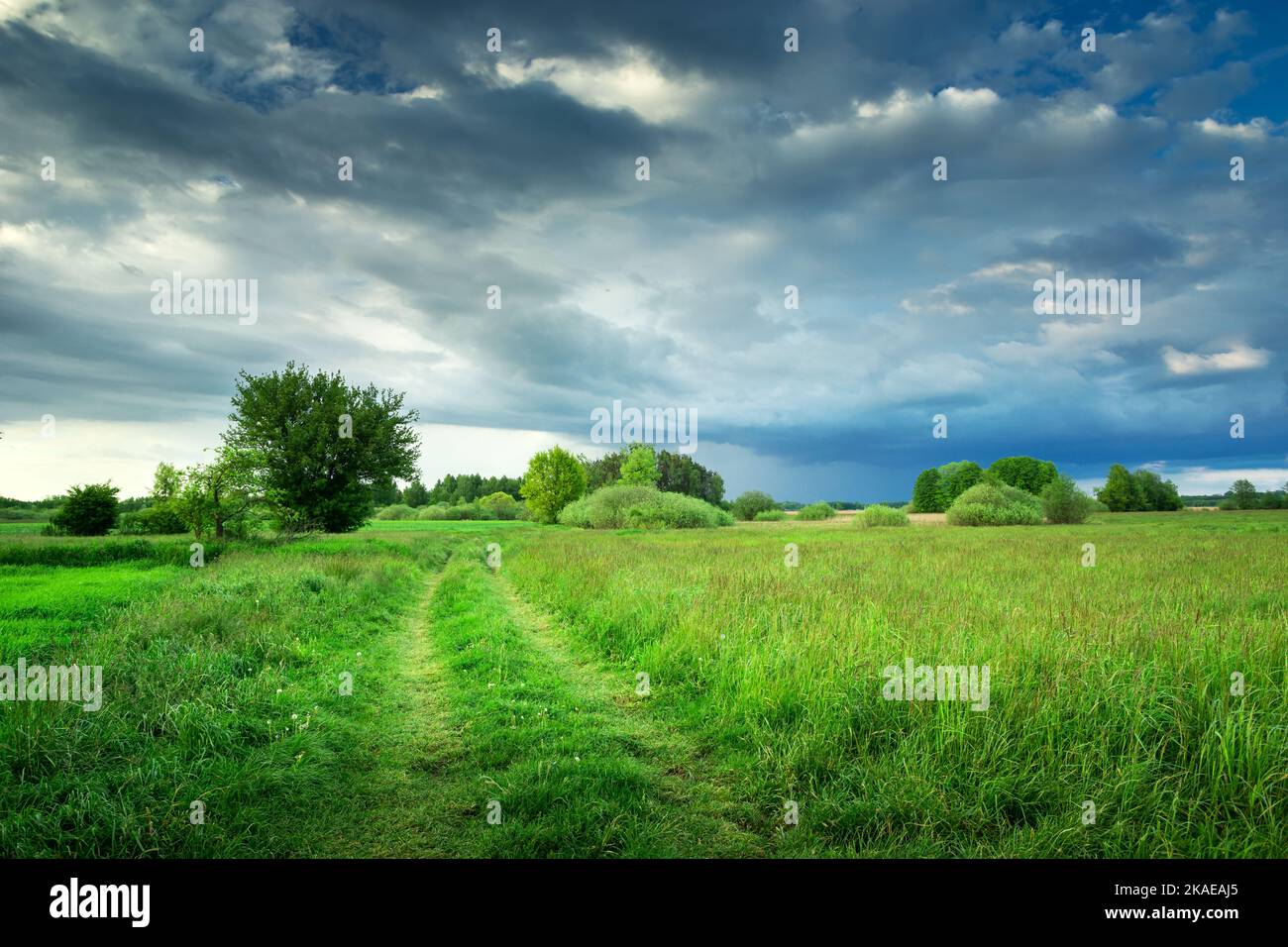 The path through a green meadow and beautiful clouds Stock Photo