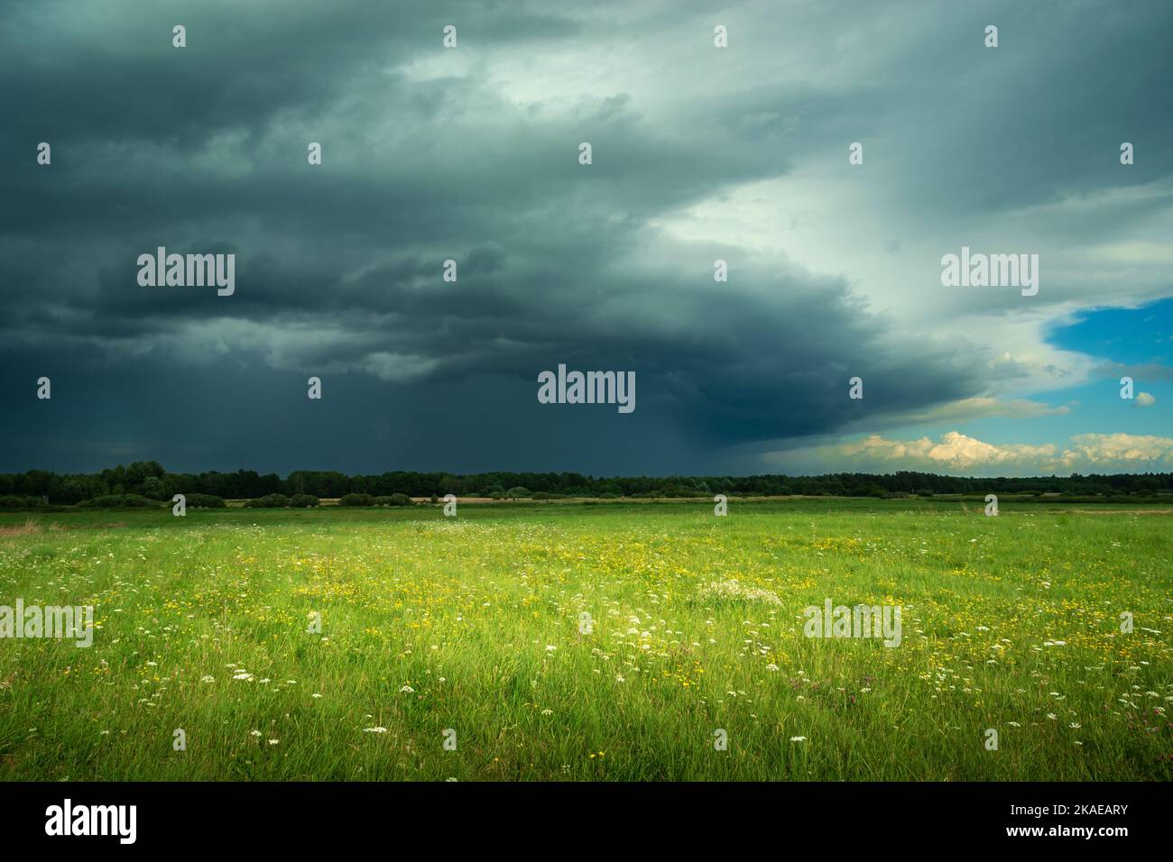 View of the dark thundercloud above the green meadow Stock Photo
