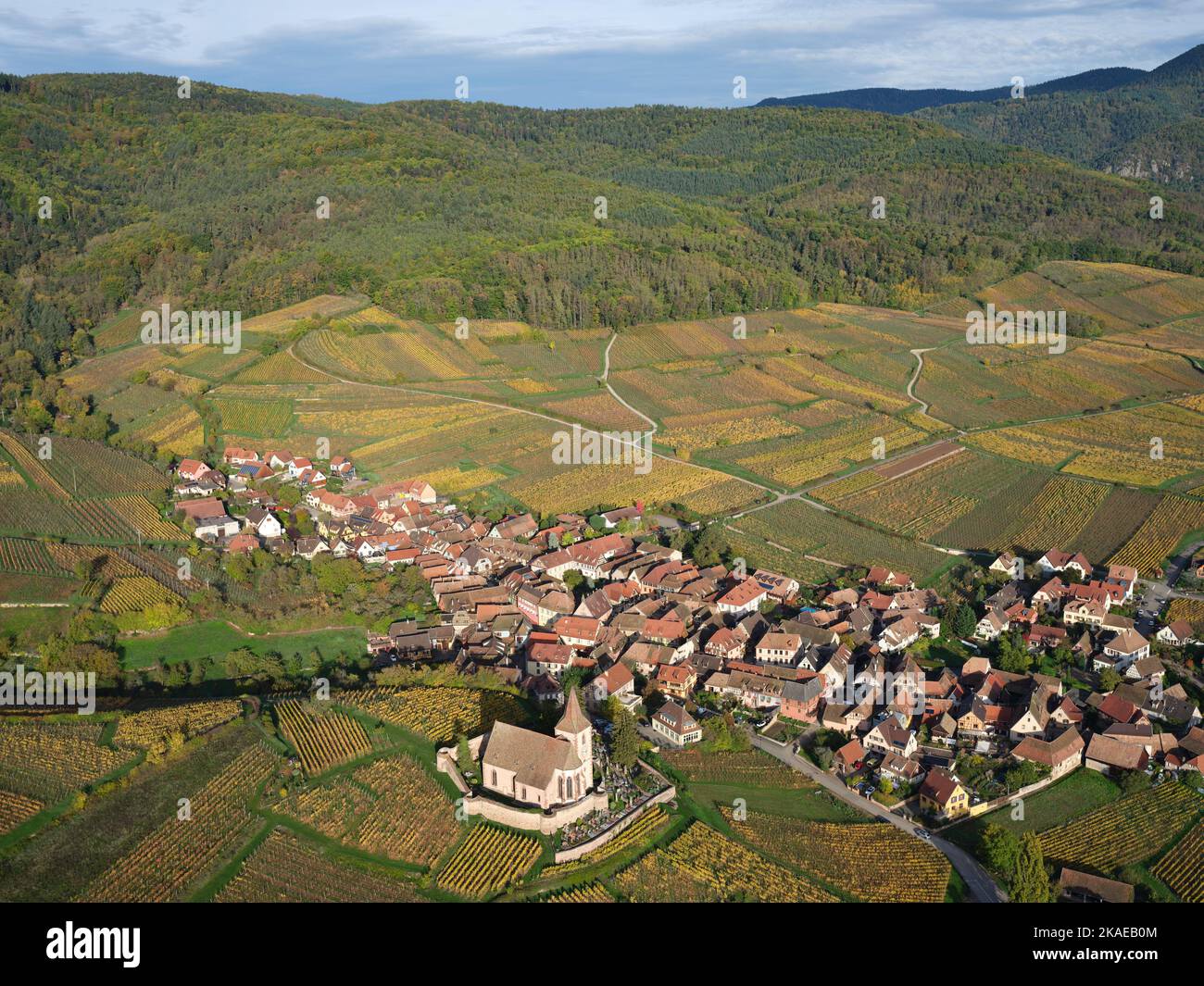 AERIAL VIEW. Picturesque village at the foothills of the Vosges Mountains with the vineyards in autumnal colors. Hunawihr, Alsace, Grand Est, France. Stock Photo