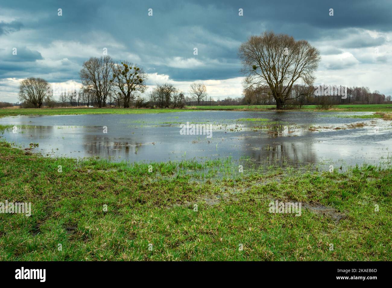 Cloudy sky over a flooded green meadow, spring rural view Stock Photo