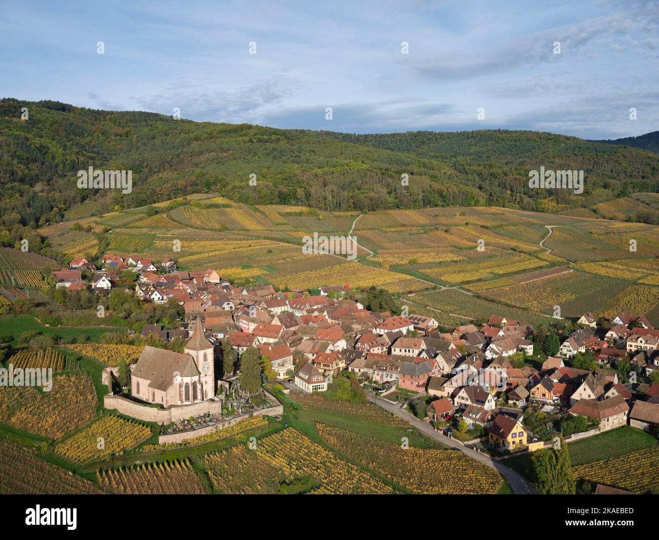 AERIAL VIEW. Picturesque village at the foothills of the Vosges Mountains with the vineyards in autumnal colors. Hunawihr, Alsace, Grand Est, France. Stock Photo