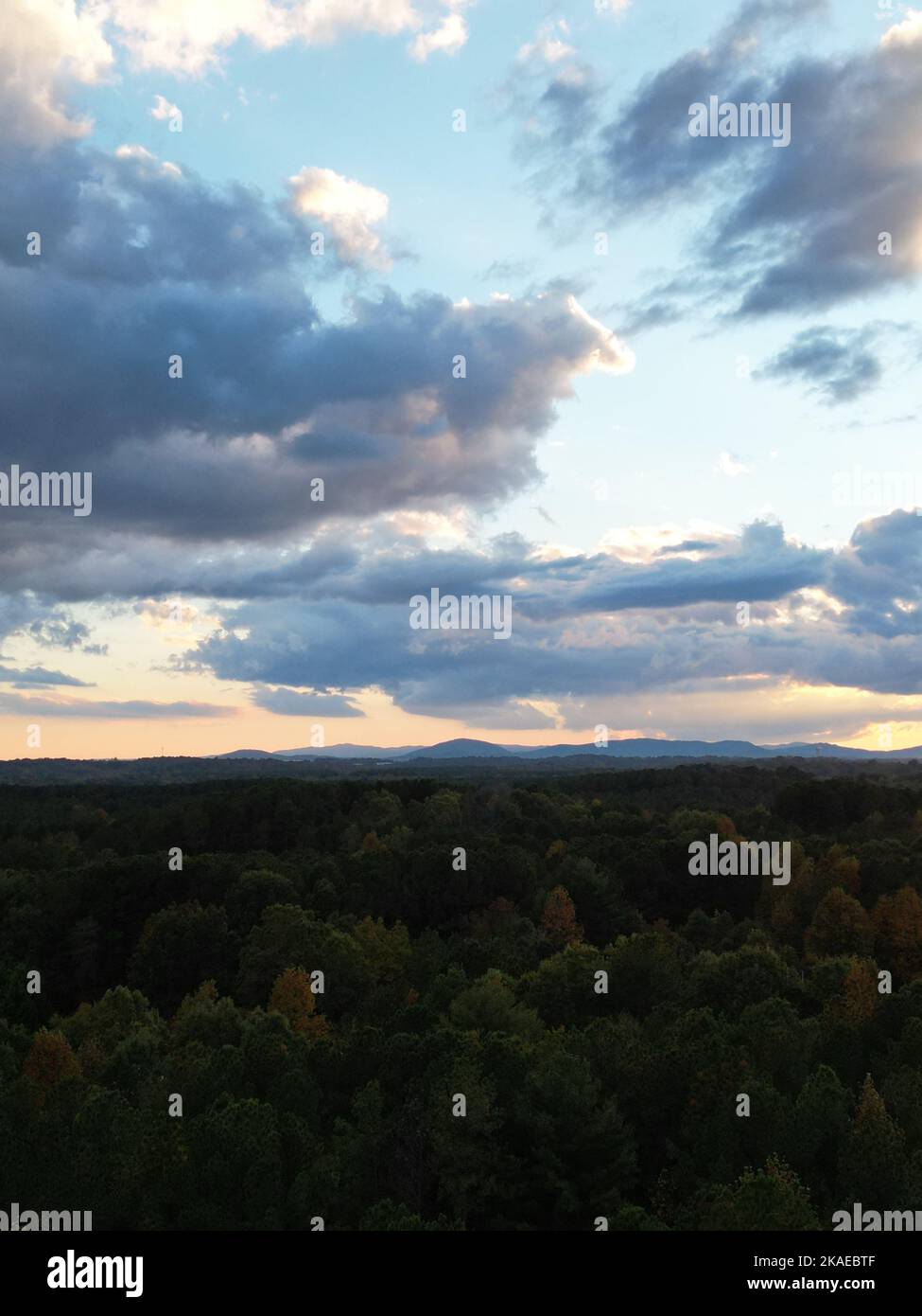 The blue cloudy sunset sky over the forest, vertical Stock Photo - Alamy