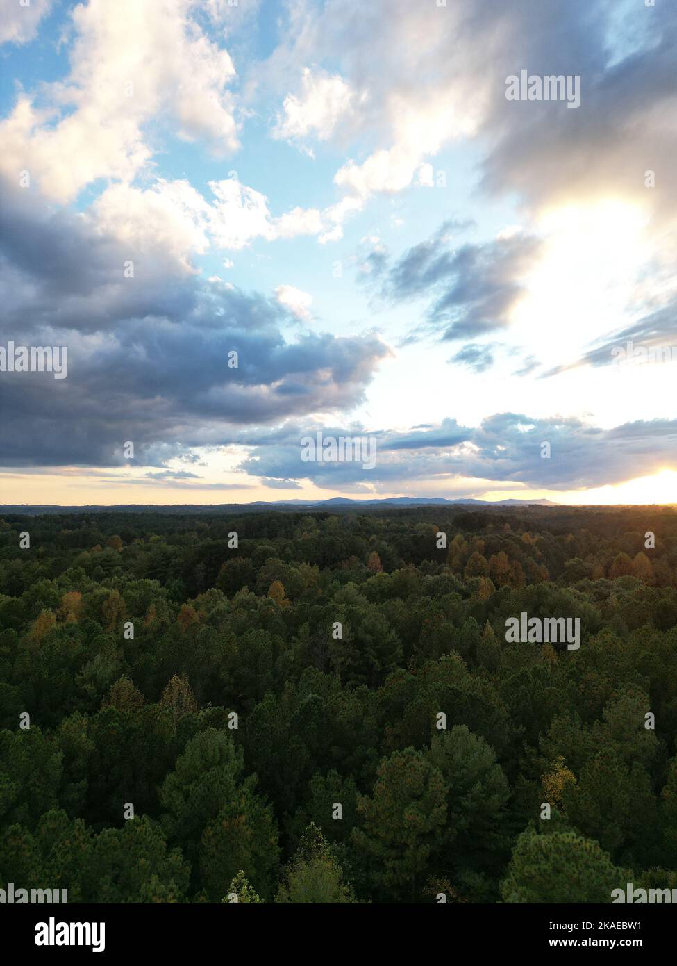 The blue cloudy sunset sky over the forest, vertical Stock Photo - Alamy