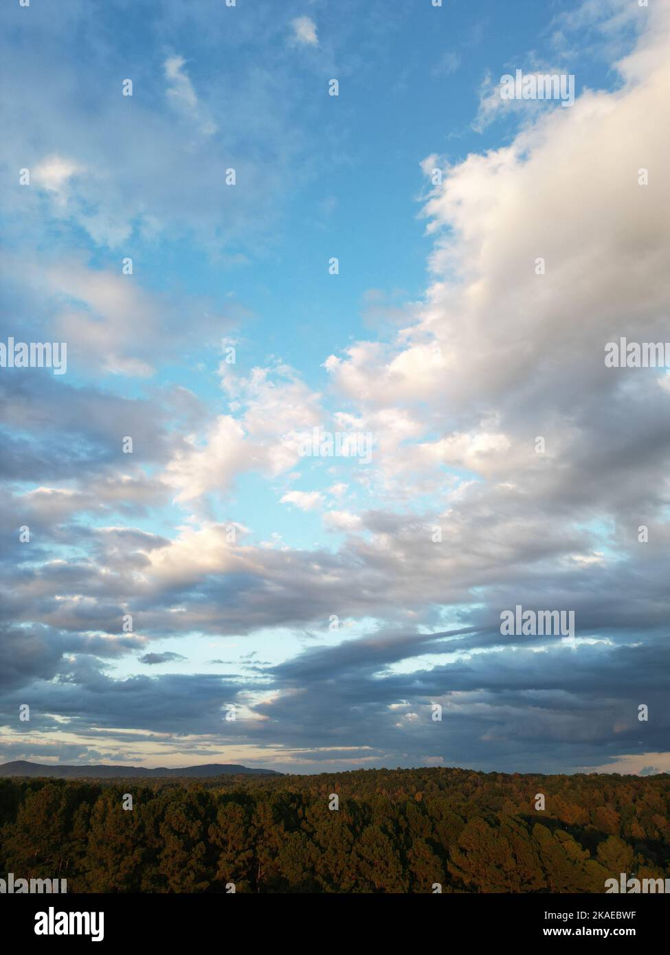 The blue cloudy sunset sky over the forest, vertical Stock Photo - Alamy