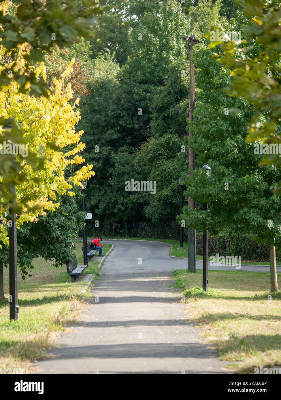 A man sitting on a bench by the pathway in a beautiful garden with ...