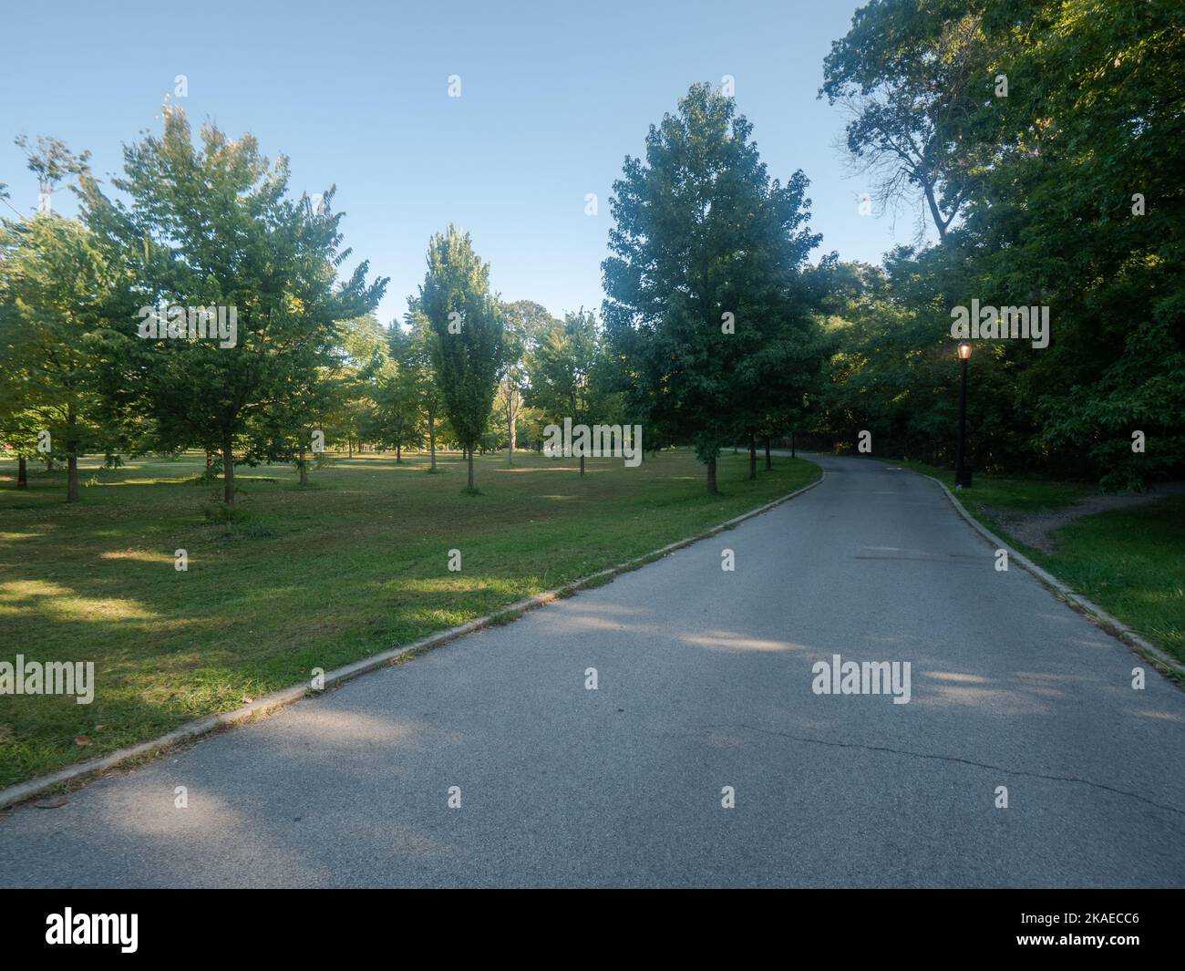 A pathway between trees and grass landscapes in a park Stock Photo - Alamy