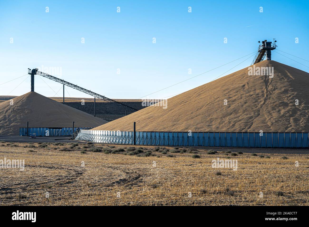 Open Grain Storage Facilities at the End of Harvest Season in the