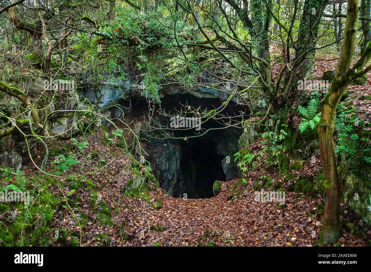 Ancient cave entrance in Jugholes Wood, above Matlock, Derbyshire. Natural caverns have been altered and enlarged by fluorite mining in the 20thC. Stock Photo