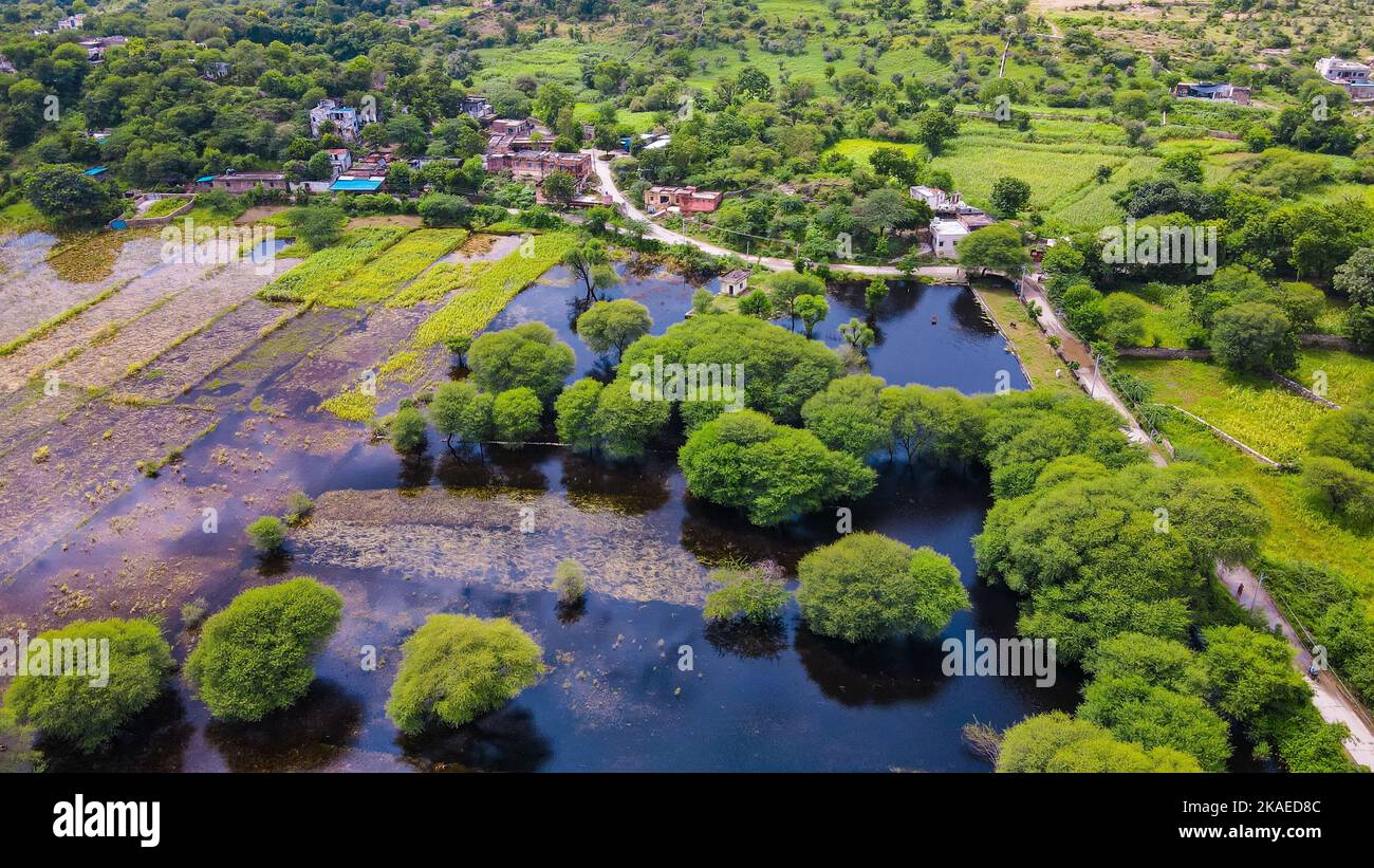 A beautiful view of a pond with green trees in a park on a sunny day ...